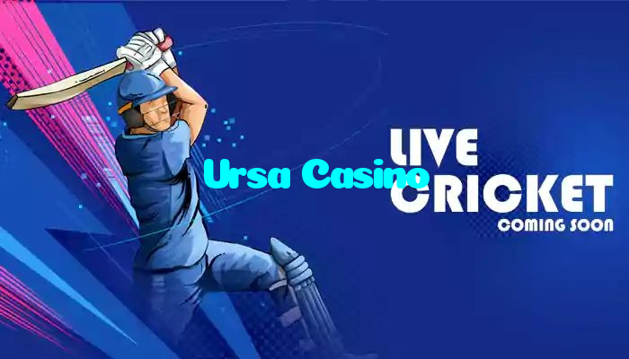 available types of Ursa Casino bet including pre-match live express and system bets