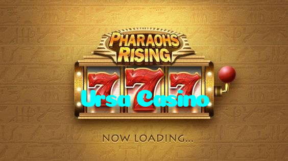 available types of Ursa Casino bet including pre-match live express and system bets
